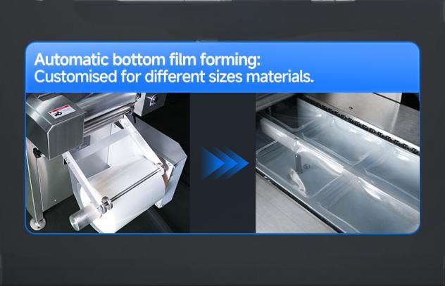 HVR-320A (q) Hualian Thermoforming-Verpackungsmaschine für Lebensmittelverpackungen