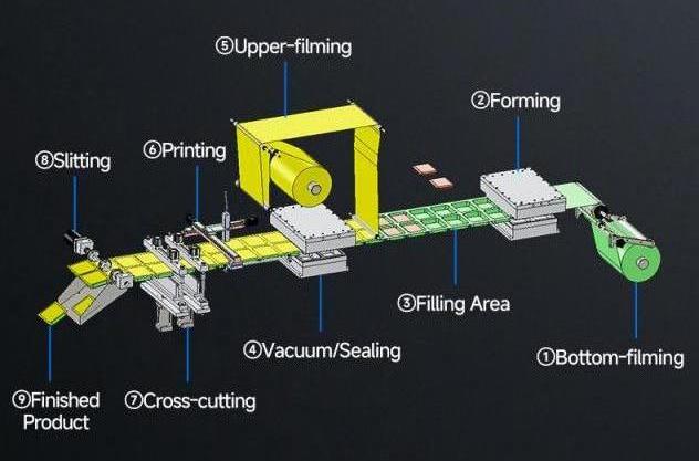 Automatische Thermoformierungspackungsmaschine