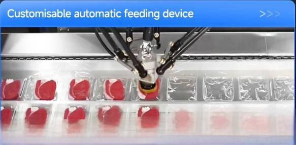Thermoformierungspackungsmaschine mit Fütterungsvorrichtung
