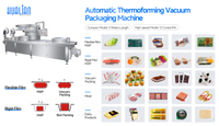 //ilrorwxhnjkmll5p-static.micyjz.com/cloud/lmBprKlnlkSRkllqmrljio/thermoforming-packaging-machine-for-food.jpg