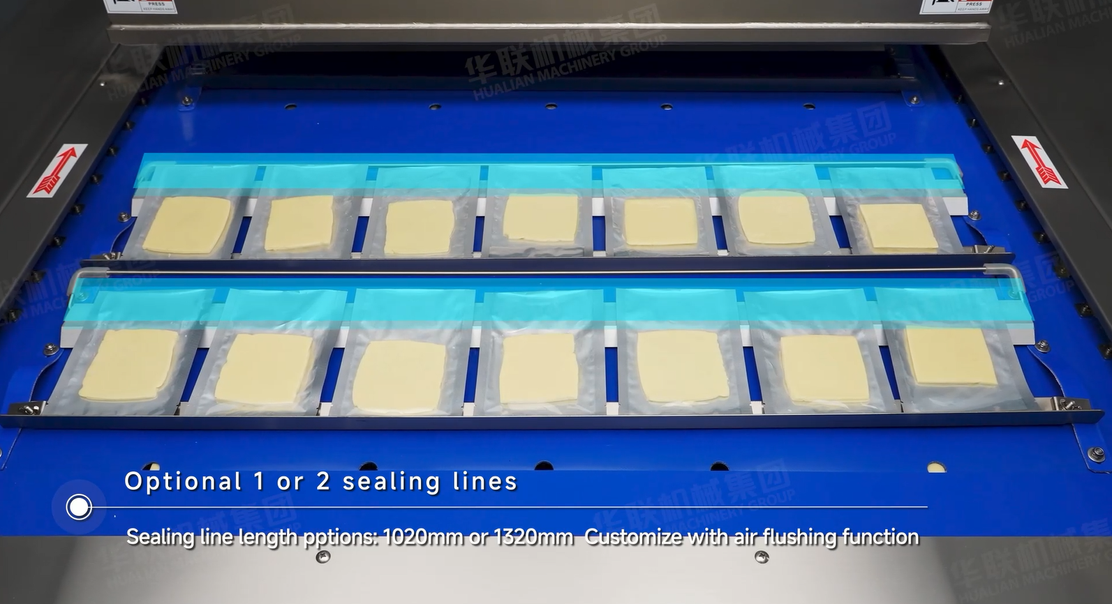 kontinuierliche Vakuumverpackungsmaschine