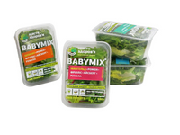 //ilrorwxhnjkmll5p-static.micyjz.com/cloud/lmBprKlnlkSRqlkilmomiq/thermoforming-packaging-machine-for-vegetable.jpg