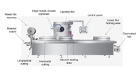 //ilrorwxhnjkmll5p-static.micyjz.com/cloud/lpBprKlnlkSRmkkpjoqliq/thermoforming-packaging-machine.jpg