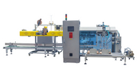 //ilrorwxhnjkmll5p-static.micyjz.com/cloud/lqBprKlnlkSRqlnrokljio/plastic-pellets-packaging-line.jpg