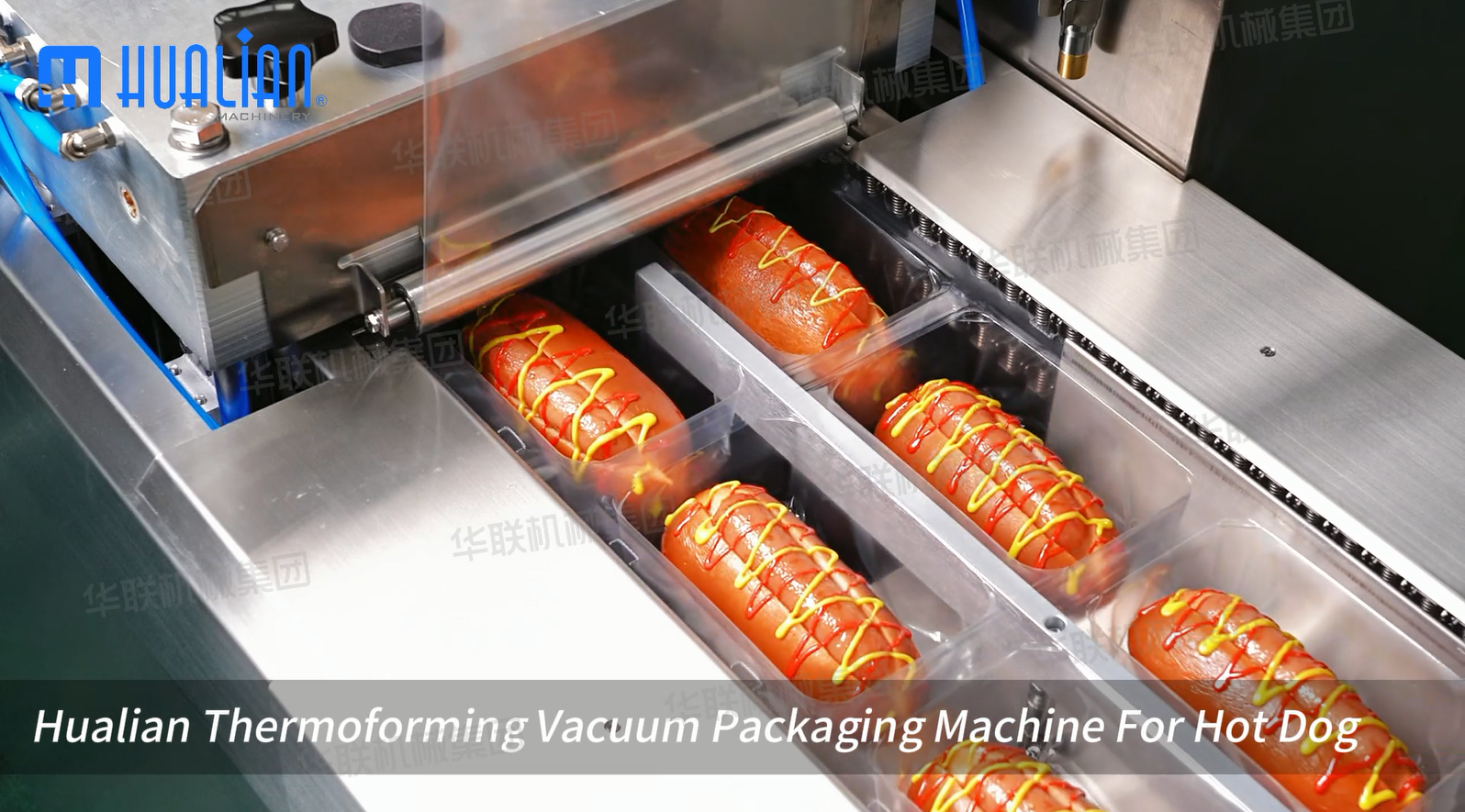 Tiefziehverpackungsmaschine f&uuml;r Hot Dog.png